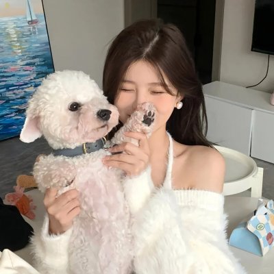 风尘奇侠